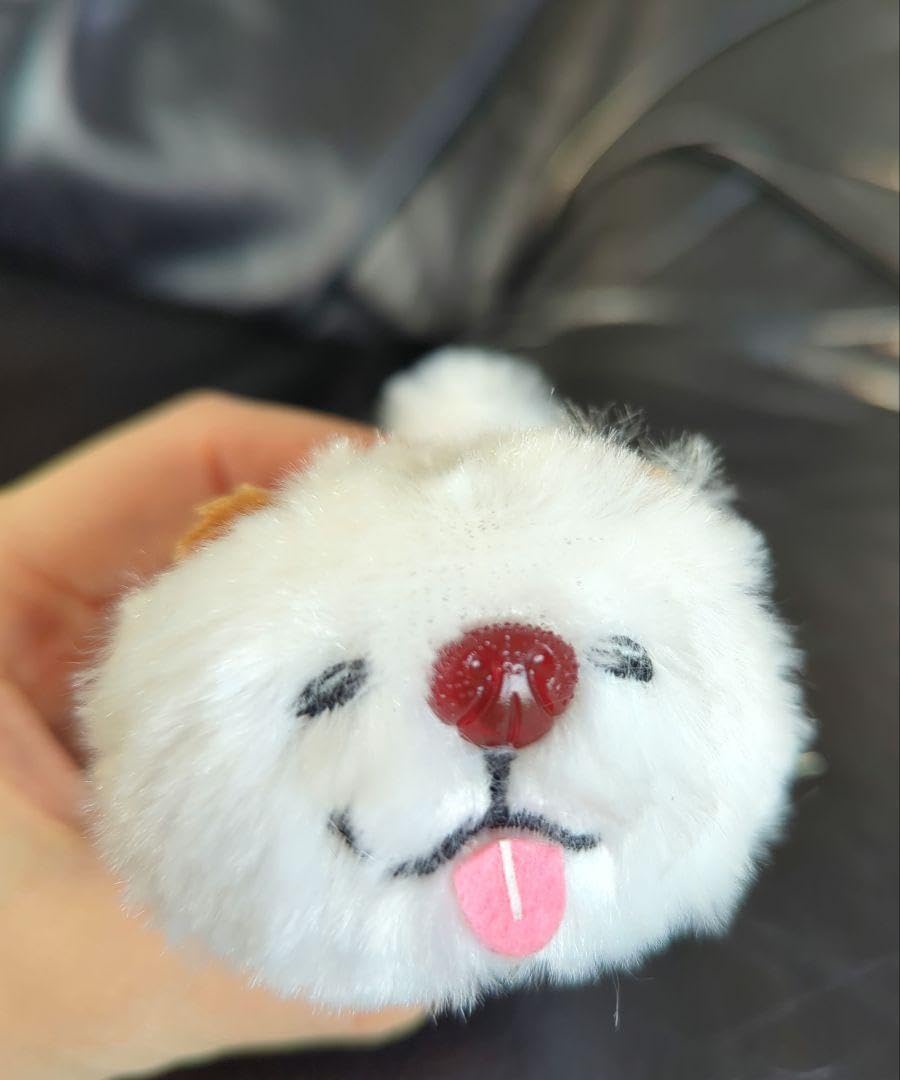 Amazon.co.jp: 青森青森鰺ヶ沢限定ブサカワブサかわ犬ブサかわ犬